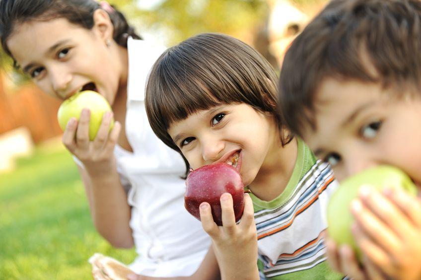 Image of Accessing Summer Food and After School Snack Resources
