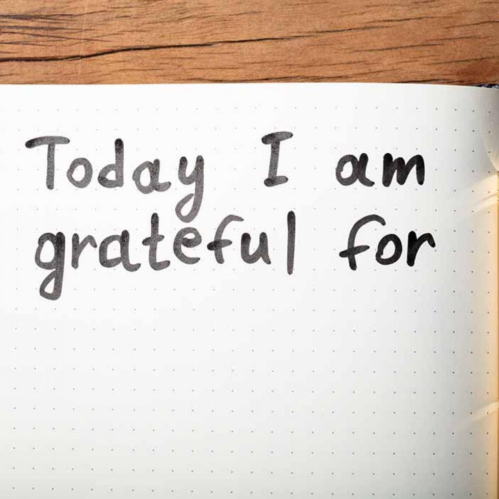 Today I am grateful for... 