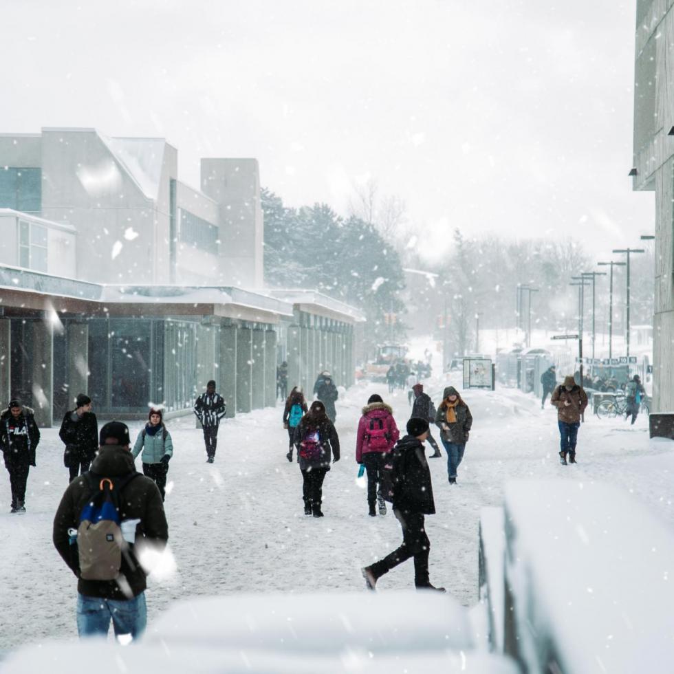Photo of students walking in the snow
