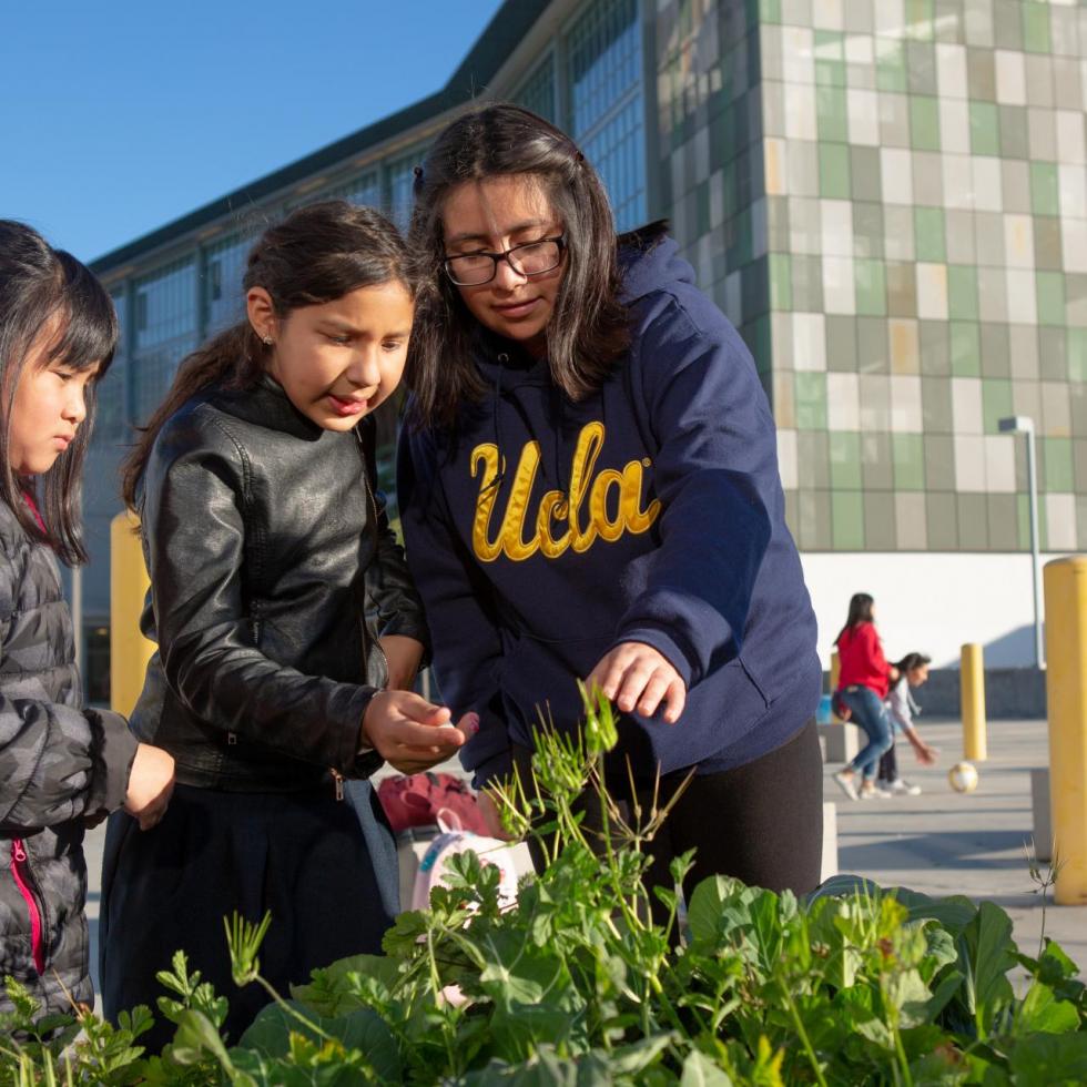 Students examine plants in their school garden