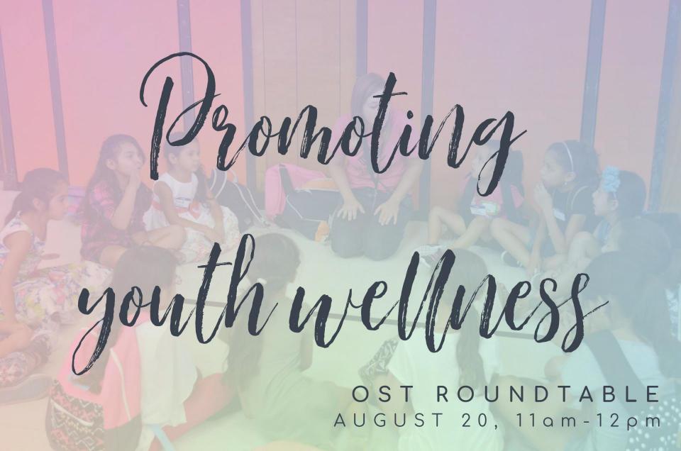 Promoting Youth Wellness, OST Roundtable