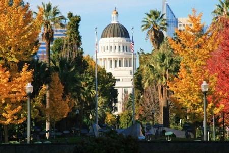 California Capitol Building during the Fall Season