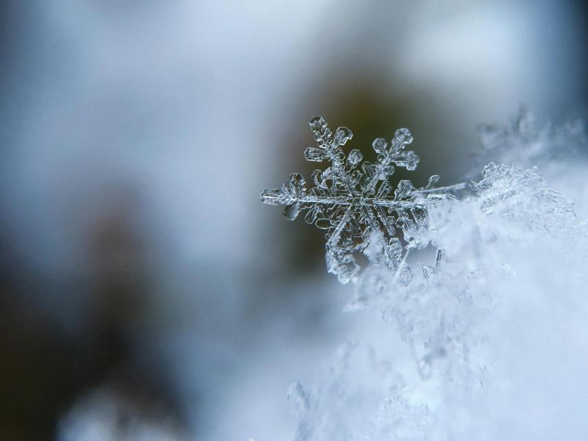 Photo by Aaron Burden on Unsplash
Snowflake macro