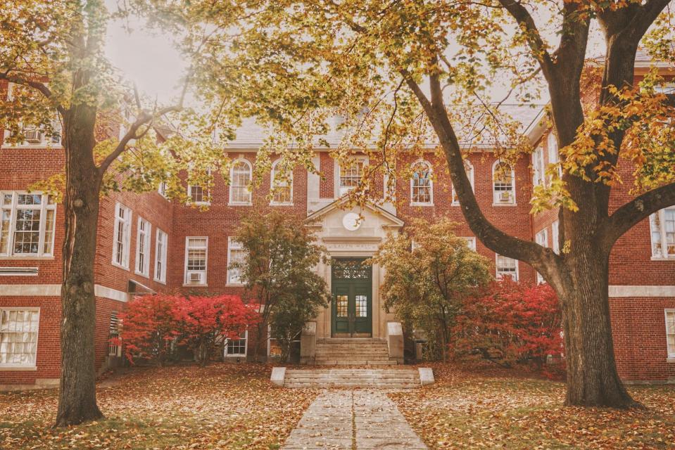 School building with trees with falling leaves in the front