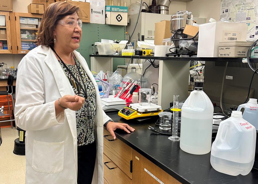 A picture of Dr. Norma Alcantar in her lab wearing a lab coat and glasses.