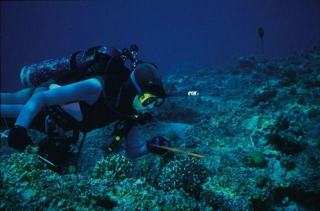Goulet diving in the ocean