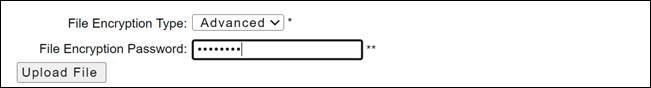 ExFiles system file upload page showing fields to choose the Excel data file, enter the uploader’s name and email, and type the File Encryption Password ‘aspa1234’ before clicking Upload Files.