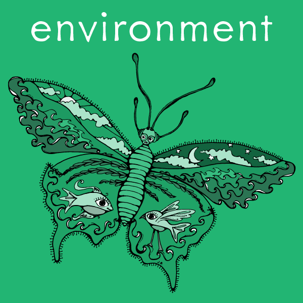 Butterly with the word "environment" above it