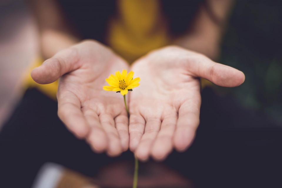 Open palms with a flower in between