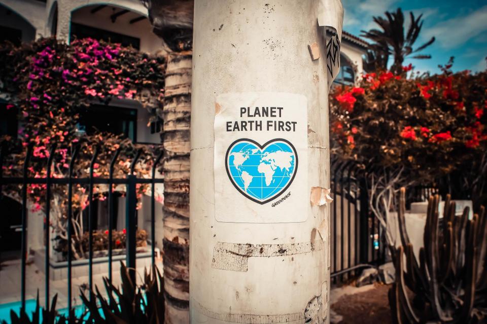 Telephone pole with "Planet earth first" poster taped on it