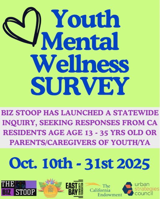 Survey Flyer