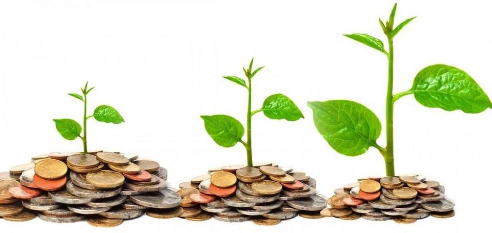 Three piles of coins with plants growing out of them to represent financial sustainability