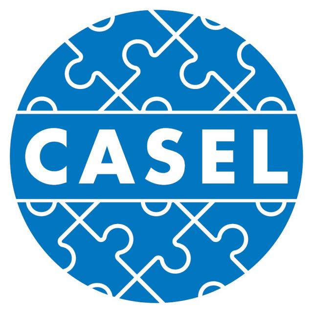 CASEL logo