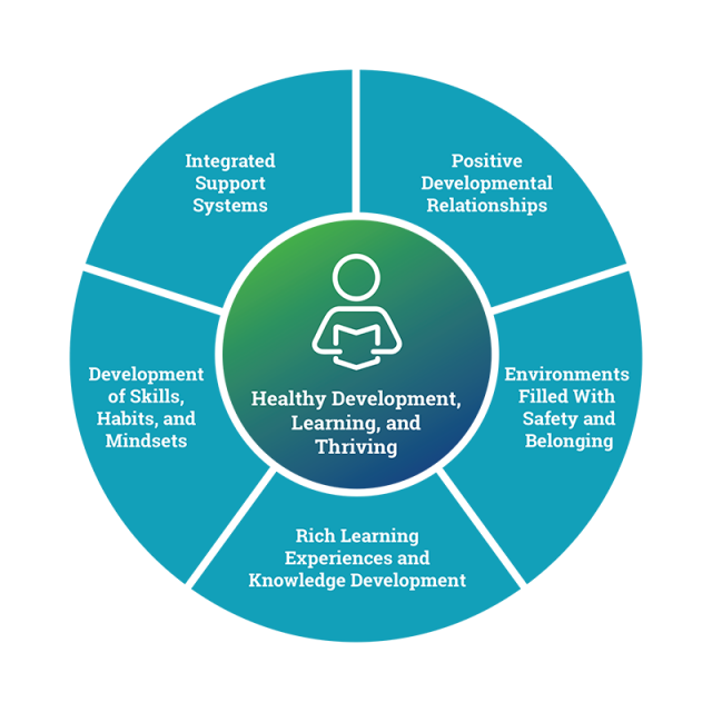 Learning Policy Institute design principles