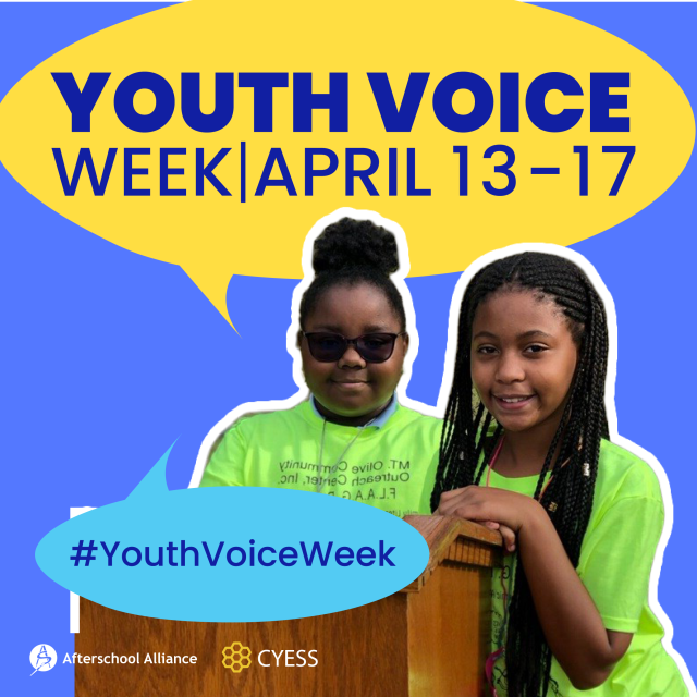 Youth Voice Week Graphic