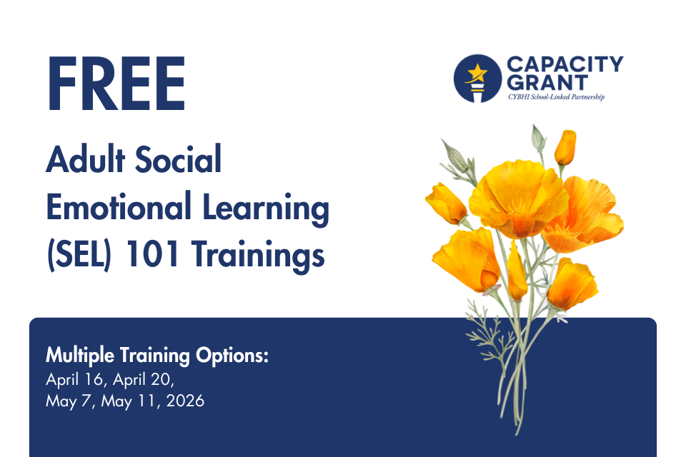 Free Adult SEL 101 Training Promo