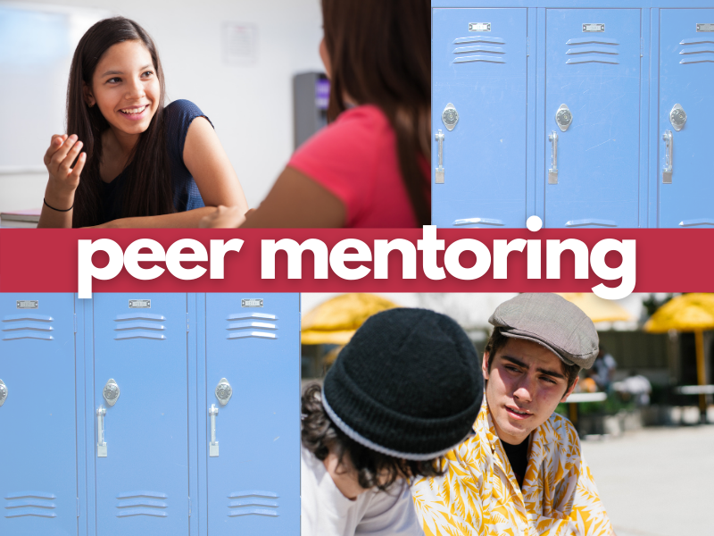 Peer Mentoring logo