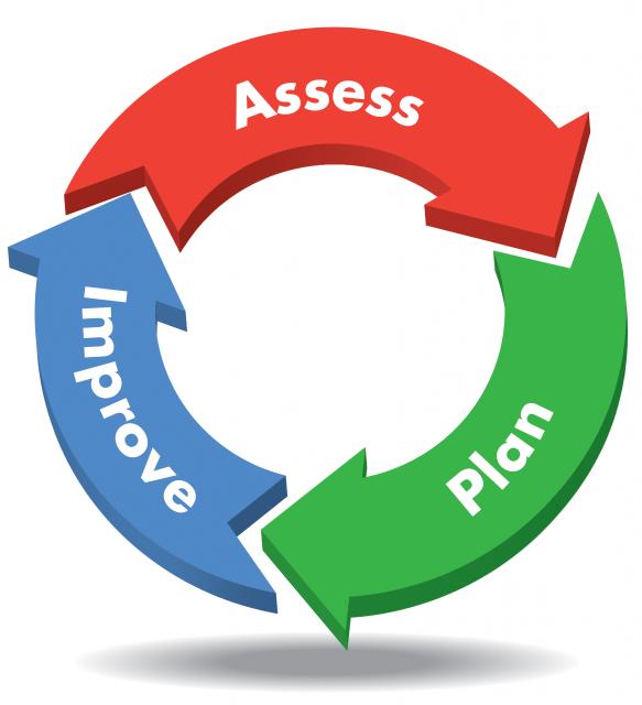 Assess, Plan, Improve Cycle 