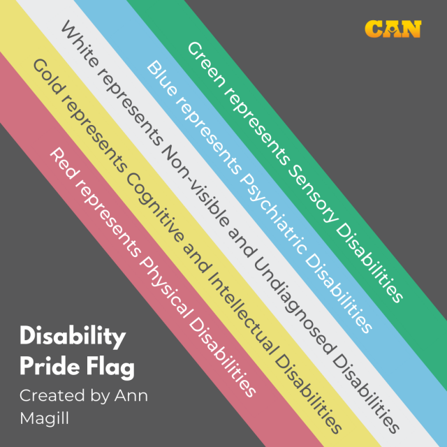 Photo of Disability Pride Flag