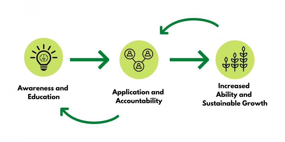 Awareness and Education > Application and Accountability > Increased Ability and Sustainable Growth