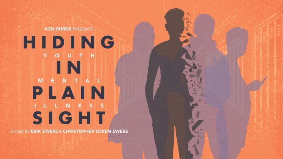 Hiding in Plain Sight poster