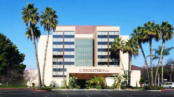 hotel from the front perspective with palm trees to the left and right of the front. 