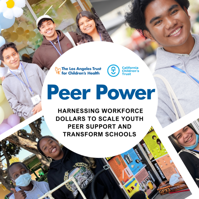 Peer Power graphic