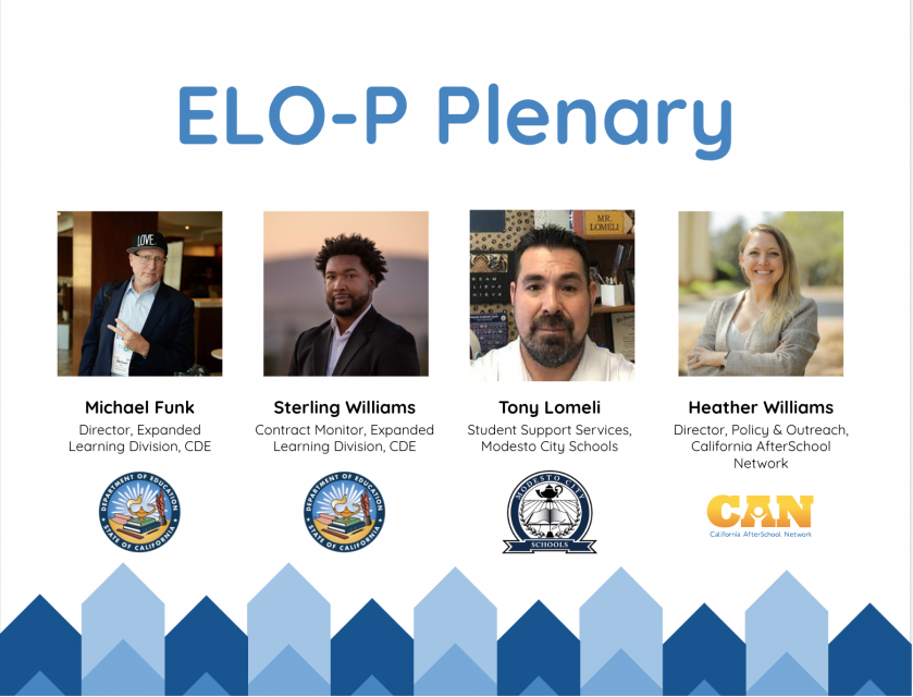 ELO-P Plenary image of panelists