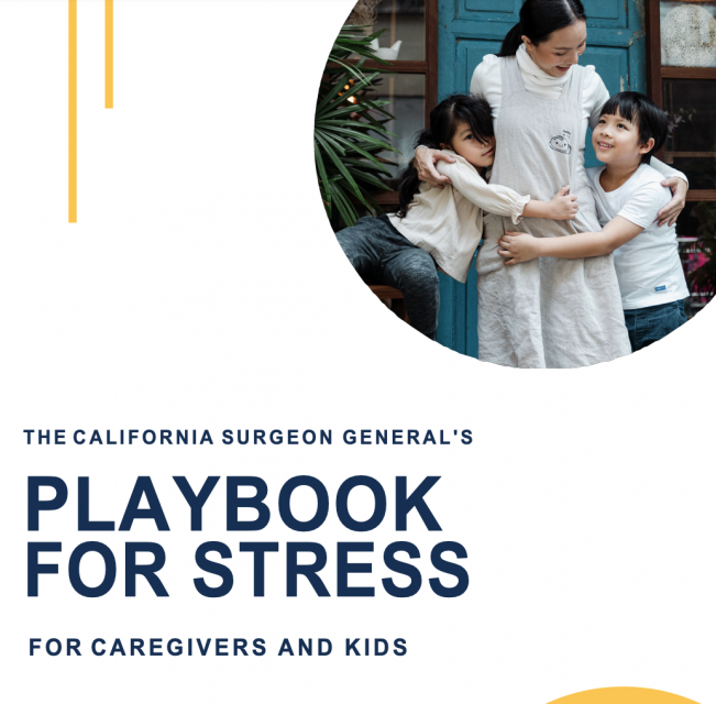 Cover of the playbook
