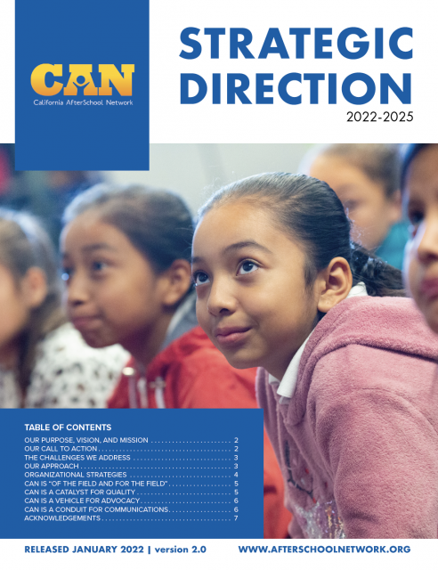 Strategic Direction cover