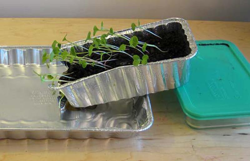 Soil Erosion