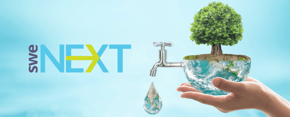 SWEnext logo
